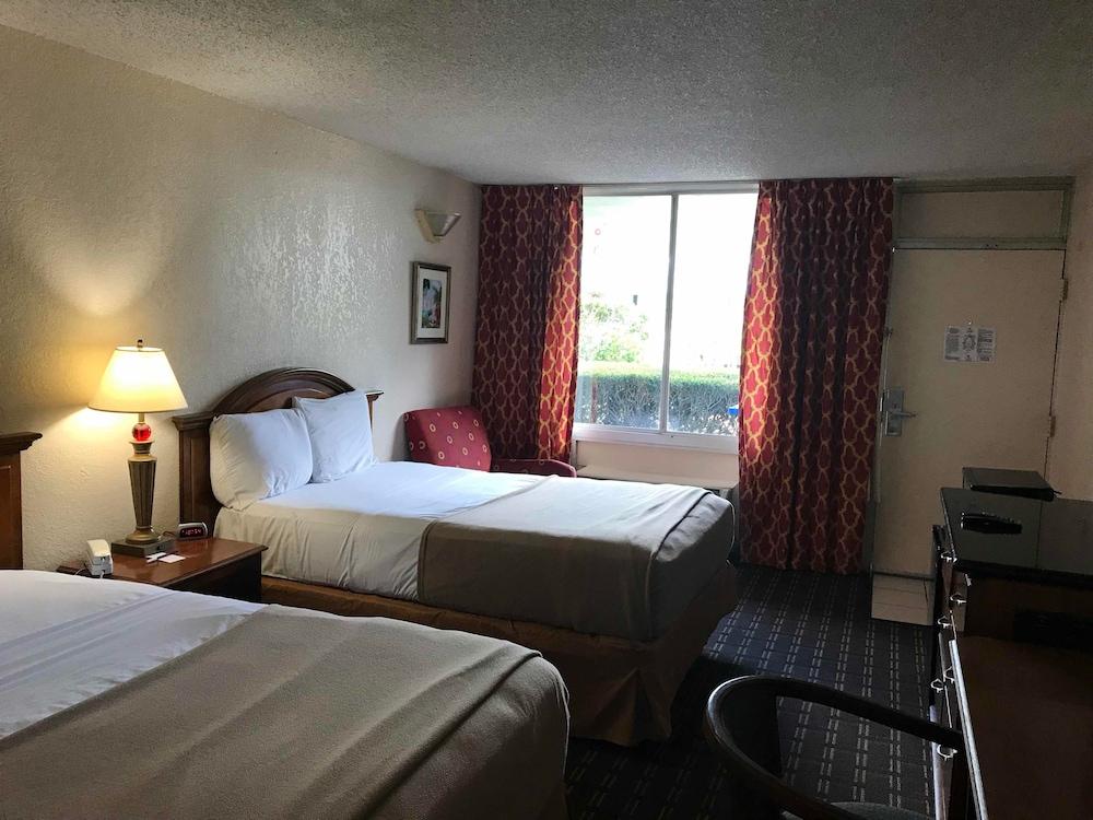 Quality Inn Tampa Lake Magdalene Zewnętrze zdjęcie
